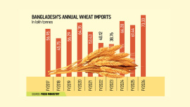 BD wheat.jpg
