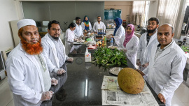 According to the researchers, while dried jackfruit seeds naturally contain around two percent mineral content, the new technology can increase it to more than 33 percent, boosting the mineral concentration by about 16 to 17 times. Photo: Collected
