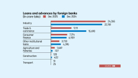 Loans foreign banks.jpg