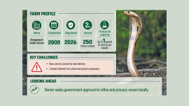 Snake farm.jpg