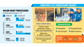 THE-DAIRY-BOOM.jpg