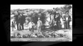 Tiger hunt in colonial India.png