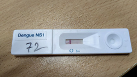 Dengue NS1 test kit. File photo