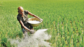 Fertiliser.jpg
