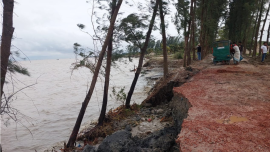 From Harani and Chanandi to Tamaruddi and Nalchira, riverbank erosion continues to destroy homes, farmland and markets, forcing thousands of families to rebuild their lives time and again. Photo: Star