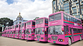 Pink-Bus.jpg