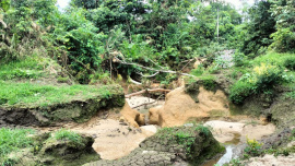Satchari-National-Park.jpg