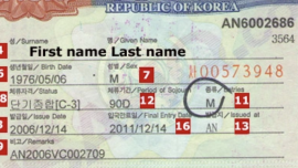 Visa_Korean_.png
