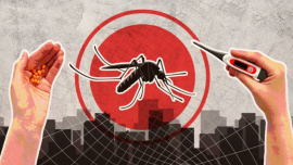 dengue.jpg