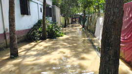 flood1.jpg