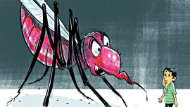 mosquto.jpg