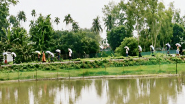 urea-web.jpg