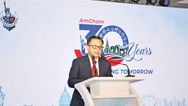 AmCham.jpg