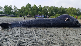 Andharmanik-riverbank.jpg