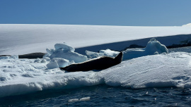 Bangladesh to Antarctica Planning the journey to the end of the world