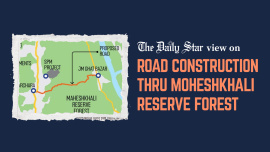Moheshkhali forest road construction