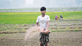 Fertiliser.jpg