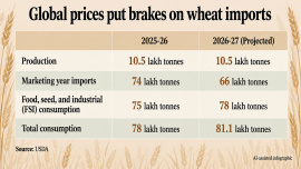 Wheat-imports.jpg