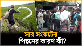 fertilizer crisis.jpg