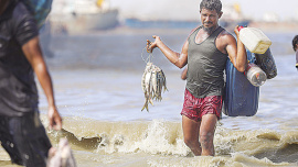 ilish_16.jpg