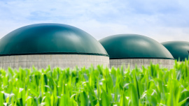 2.  biogas production facility.jpg