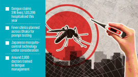 dengue-stat.jpg