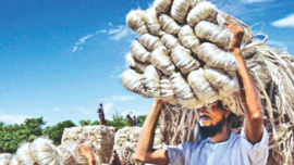 jute_18.jpg
