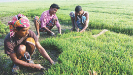 Agriculture lending picks.jpg