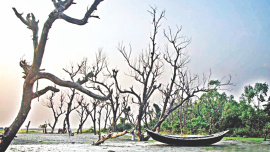 climate change 1.jpg