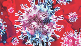 current pandemic corona.jpg