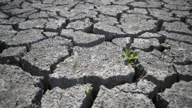 Desertification-And-Drought-Day.jpg