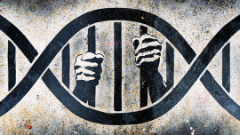 human rights jail.jpg