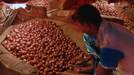 onion price hike.jpg