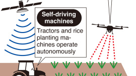 smart-farming-graphic-ann-wb-thumb.jpg