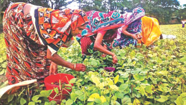 socio-economic conditions.jpg