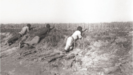 The Guerrillas of Dhaka in 1971