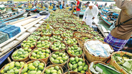 mango_fruit.jpg