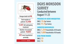 dengue-crisis.jpg