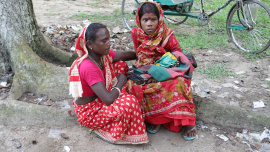 tea gardens women health risks