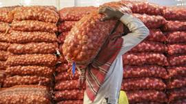 Onion import from India