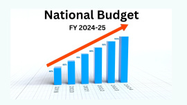 national_budget.jpg