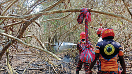 committee formed to assess biodiversity loss in sundarbans fire