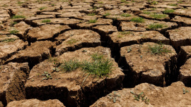 World Environment Day: Land the size of Dhaka city degrades every year