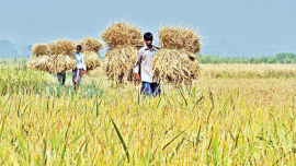 Bangladesh food security challenges