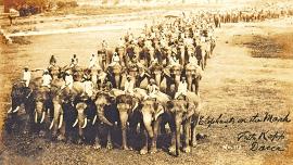 Pilkhana elephant depot history