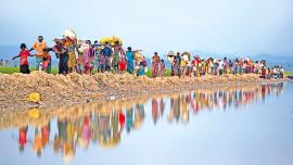 rohingya-crisis.jpg