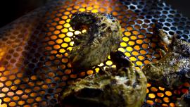 7 mouth-watering BBQ recipes to heat up your winter nights