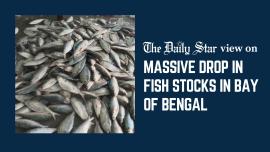 Editorial 2 - A marine crisis we can no longer ignore_1.jpg