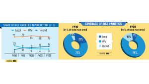 Hybrid rice coverage doubles in five years