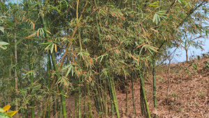 19201080 frame - 2026-03-11T192734.453.jpg